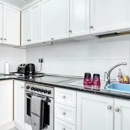 Solaris تورّيفيِخا