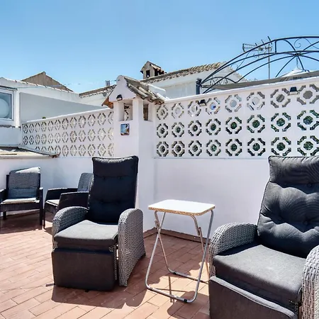 فيلة Solaris تورّيفيِخا