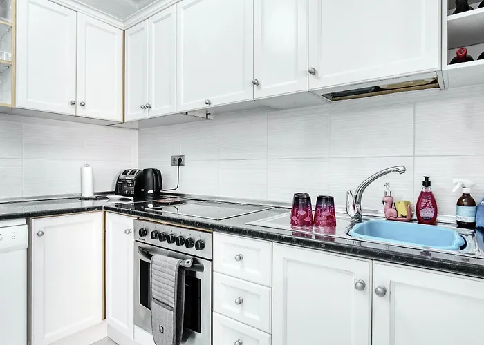 Solaris تورّيفيِخا